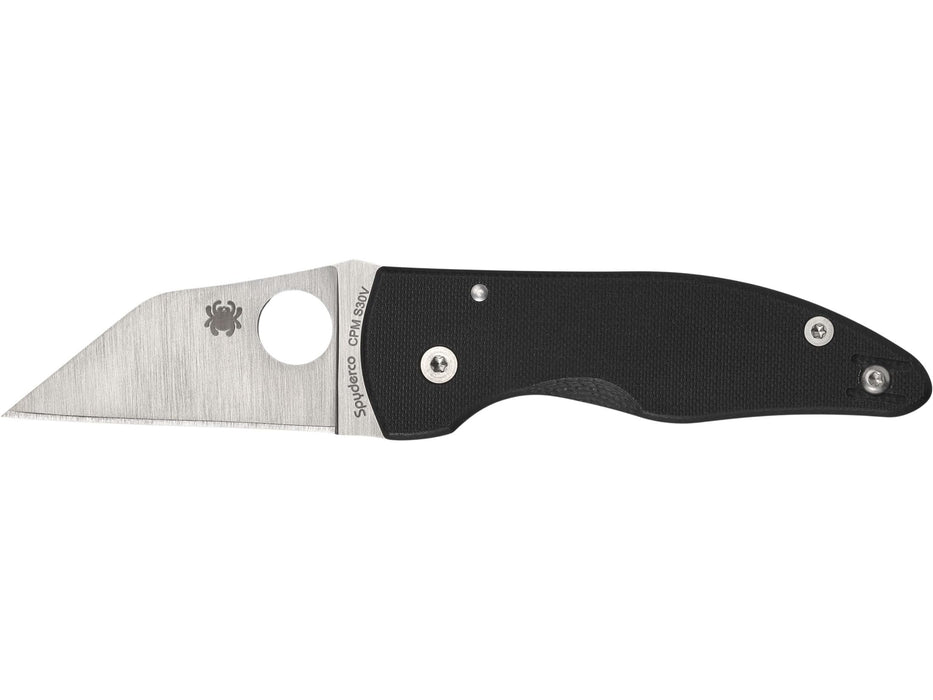 Spyderco C264GP Stainless Pocket Knife